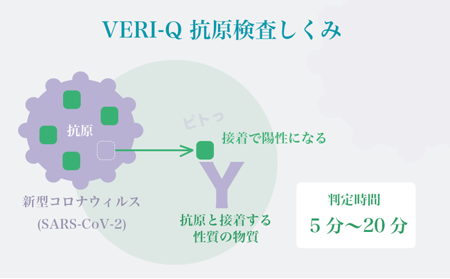 新型コロナ抗原キット Veri Q ベリキュー 法人様 導入事例推進キャンペーン 無料配布開始 Amazonでも買えます 最短５分で判定 安 の上場企業製 新しい経営リスク管理のカタチ 株式会社micobiomedjapanのプレスリリース