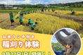 稲刈りイベント開催のお知らせ SDGs実践！ぞうさんのうんち堆肥を活用した循環型田んぼプロジェクト｜市原ぞうの国 × 星野農園高滝湖 × スースー・アグリ × 高滝湖グランピングリゾート