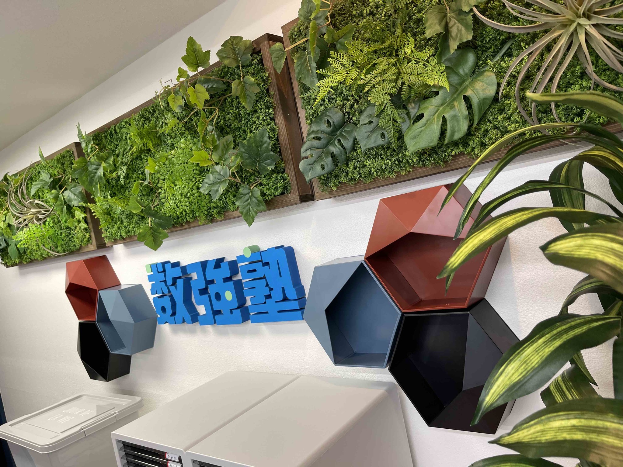 数強塾横浜校 開校 校舎案内 元町 中華街の女子専用校舎 数学専門塾 フェリス女学院 横浜雙葉 横浜共立学園 洗足学園の中1 中2 中3が利用する数学塾 数強塾 オンライン家庭教師株式会社のプレスリリース