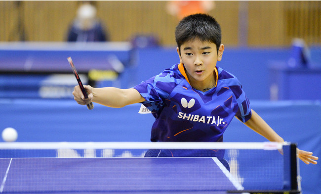 卓球のバタフライ 小学6年生の川上流星選手と契約 福島民報