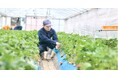 パーソルエクセルHRパートナーズ、日本最大・アジア最大級のRX Japan主催、農業WEEKにデータ駆動型農業支援システムを初出展