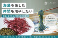 海藻専門店SEASON｜希少海藻「マツモ」「タオヤギソウ」の陸上養殖を通じ、海藻を楽しむ仲間を増やすクラウドファンディングを開始