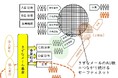 「きずなメール基金」を設立しました。寄付の力で「孤育て」を防ぐセーフティネットをさらに広げます。