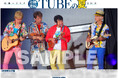 「TUBE」の紙面をスポーツ報知コンビニプリントで発売