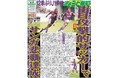 サンガ12季ぶりJ１！スポーツ報知発行「きょうと報知12月号」12月24日(金)発行