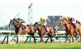 【競馬】3月8、9日は連日「報知杯」開催の“報知ウィーク”!
