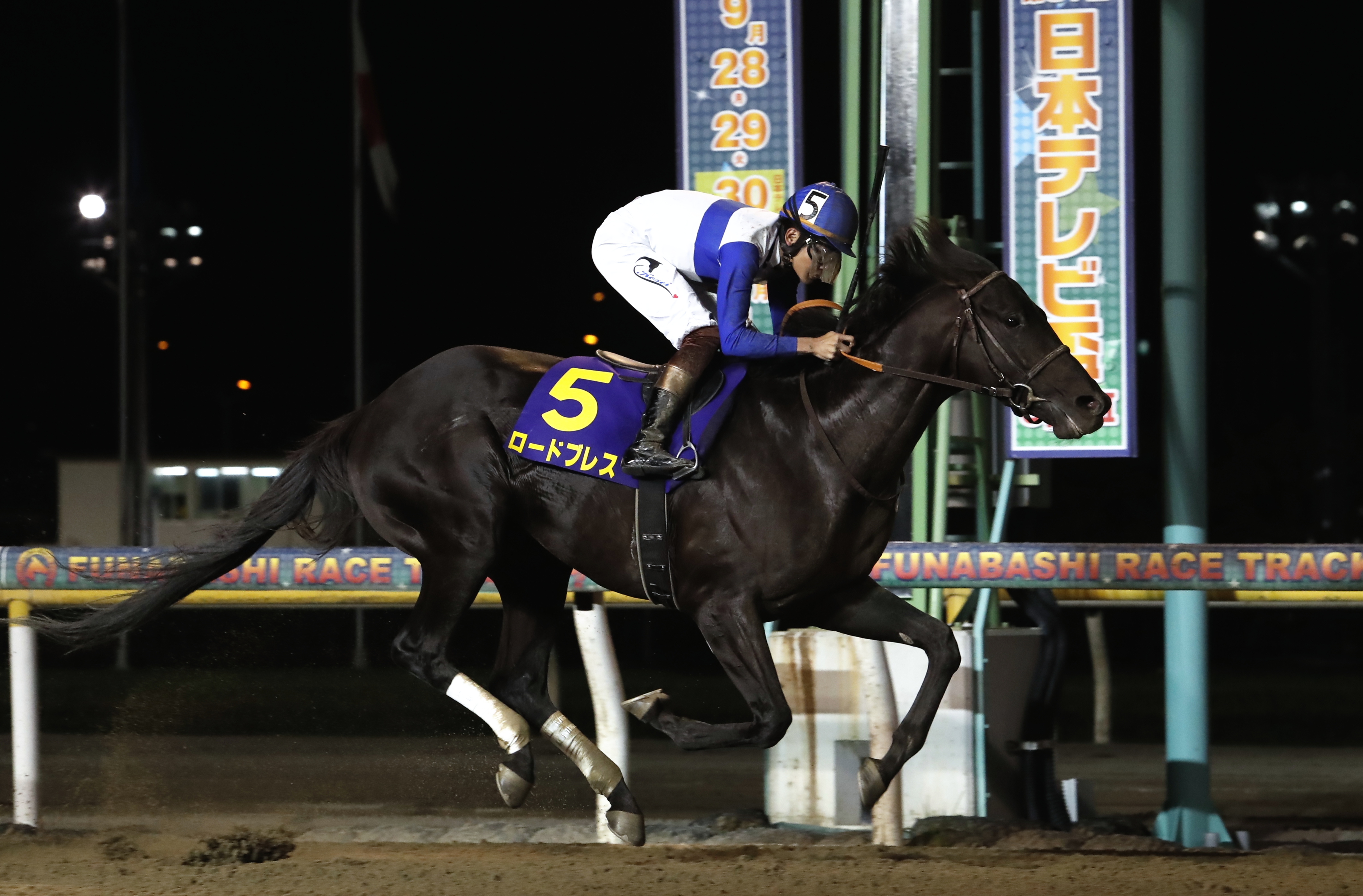 9 29船橋競馬 日本テレビ盃 無料オンライン検討会 抽選会開催 スポーツ報知 株式会社報知新聞社のプレスリリース