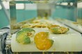 【和歌山県内初・農林水産大臣賞】じゃばらいず北山、第14回「食品産業もったいない大賞」受賞