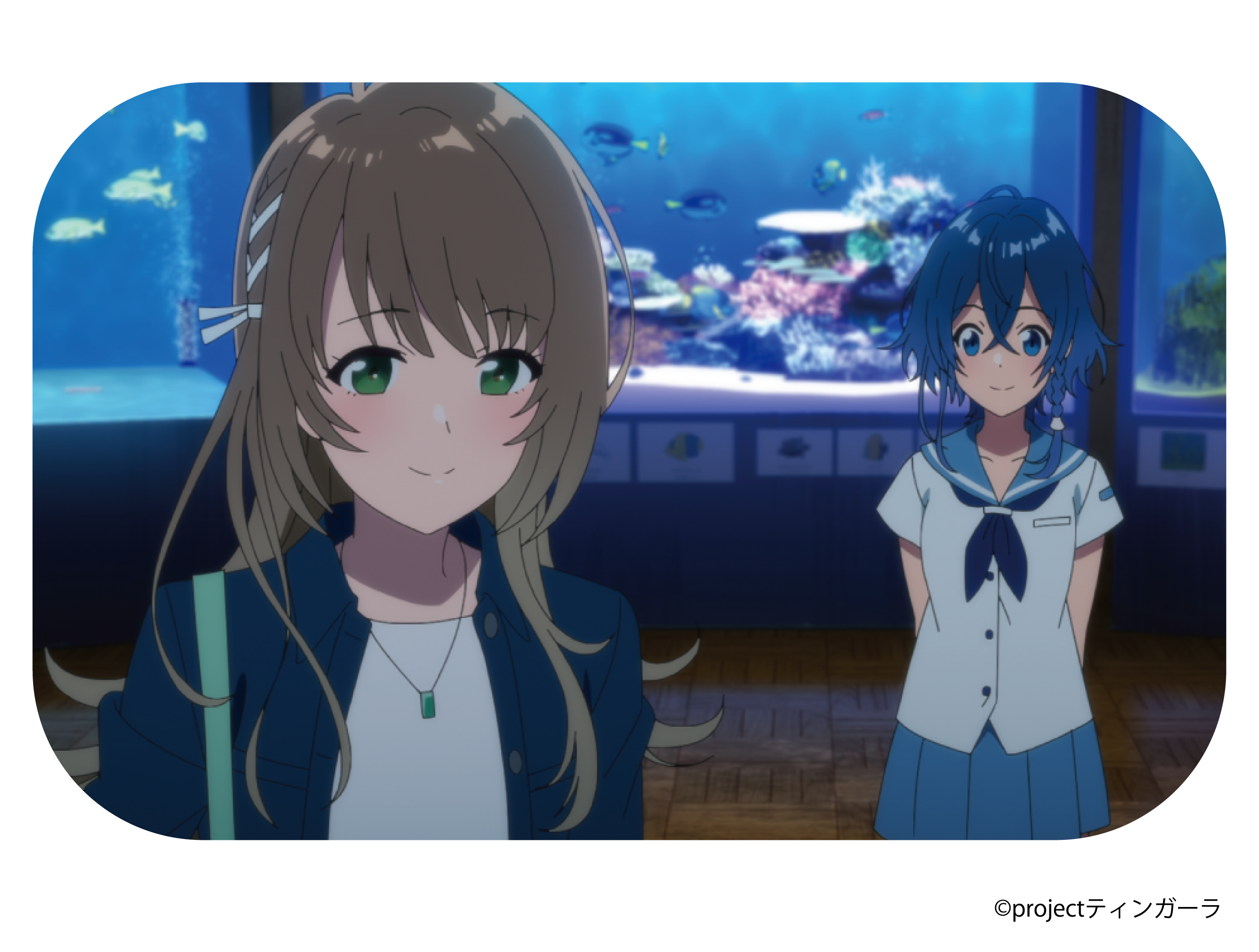 Animo 白い砂のアクアトープタンブラー 商品 海咲野くくる 宮沢風花 通販