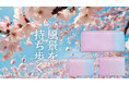 【新製品】グラデーションレザーの技術を活かした、桜をイメージした2種類の桜色グラデーションレザーアイテム誕生!日本の四季を描く「Quattro Stagioni Collection」リリース