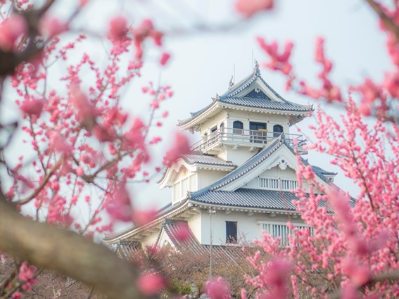 長浜城歴史博物館