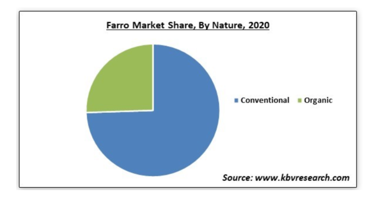 ãã¡ãã®åžå ŽèŠæš¡ã2027幎ã«3å3,020äžãã«èŠæš¡ã«å°éäºæž¬ïœæ ªåŒ