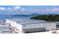 国内最大ニトリル手袋生産拠点が香川県坂出市に誕生国内消費量6%をカバー【10月25日開所式】