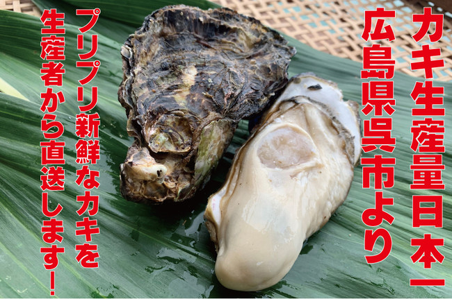 カキ生産量日本一の呉市のカキ生産者が クラウドファンディングで新鮮なカキをご自宅へ直送 呉産かき振興協議会のプレスリリース