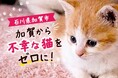 【石川県加賀市】「不幸な猫」をゼロに。177頭を支援しても終わらない地域課題に、ふるさと納税で挑む