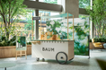 BAUM、みずみずしいひのき香る、この夏のおすすめアイテムと出会う、「HINOKI FOREST – EXPERIEINCE WAGON」開催