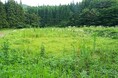 グリーンエナジー&カンパニー、太陽光発電所・農地・遊休地の売却支援プラットフォームを開設。