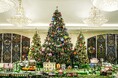 イルミネーション×クリスマスグランピング カリコリゾート「グランピング・クリスマス限定プラン」予約スタート