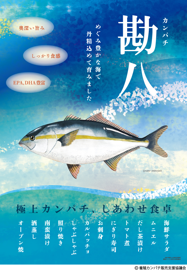 養殖カンパチ販売支援協議会 21年1月4日 月 17日 日 期間限定 極上の養殖カンパチ特別ご奉仕キャンペーン イヨスイ株式会社のプレスリリース