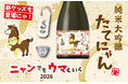 ＜ニャンでもウマくいく2026＞ 楯野川の人気日本酒「たてにゃん」年末限定で登場！