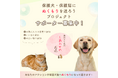 「写真の力」で動物福祉を支援!アニマル・ドネーションへの協賛プロジェクトを開始