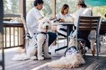 貸切バスで行く！豊洲・新宿発　愛犬と秋の埼玉　満喫ツアー「～TOBU Doggy Doggy BUS～」を実施