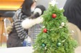 お花屋さん×プログラミング！冬限定の親子で楽しむクリスマスツリー作りイベント開催☆【アントレキッズ】