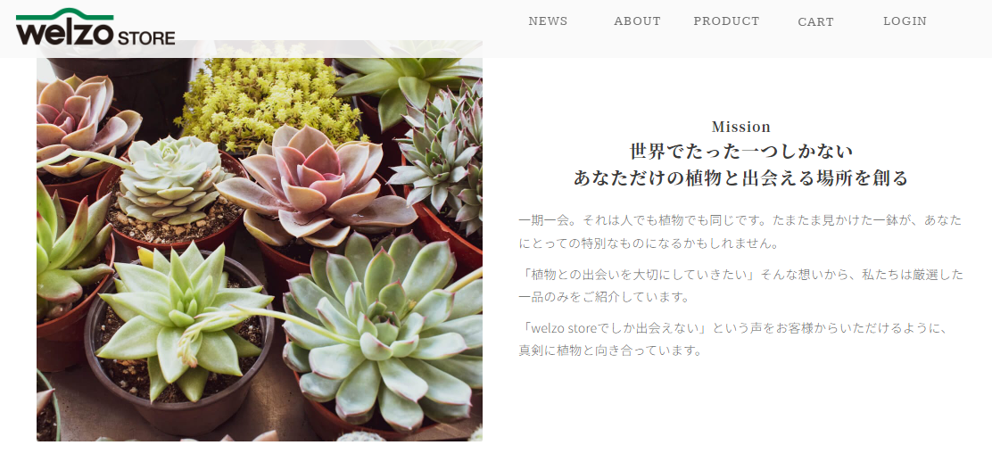 植物との一期一会を。「welzo STORE」ECサイトオープン｜株式会社welzo