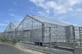 【産学連携】プラズマグリーン農業研究で世界をリードする九州大学とwelzo、独自技術により8,000億円市場の有機肥料に対しCO₂ 排出の少ない窒素肥料を開発へ 持続可能な農業を目指す共同研究スタート