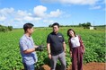 おきなわアオイファーム、産学連携コンソーシアム「Save the Sweet Potato」に加入