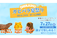 7月27日(日) SHINJUKU カピバラ夏祭りが1日限定で開催!あれもこれもぜ〜んぶ無料!もふもふに包まれる癒しの1日に〜\新宿アイランドタワー・B1パティオ広場へみんなで集まれ/
