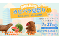 「SHINJUKU カピバラ夏祭り」まであと3日!カピバラがスイカを頬ばる「もぐもぐタイム※」が見れるかも!? あれもこれもぜ〜んぶ無料\新宿アイランドタワー・パティオ広場へみんなで集まれ/