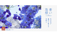 青山フラワーマーケットにて青の花を取り揃えた「青い花祭」を開催!梅雨に向けて初のオリジナル傘も。