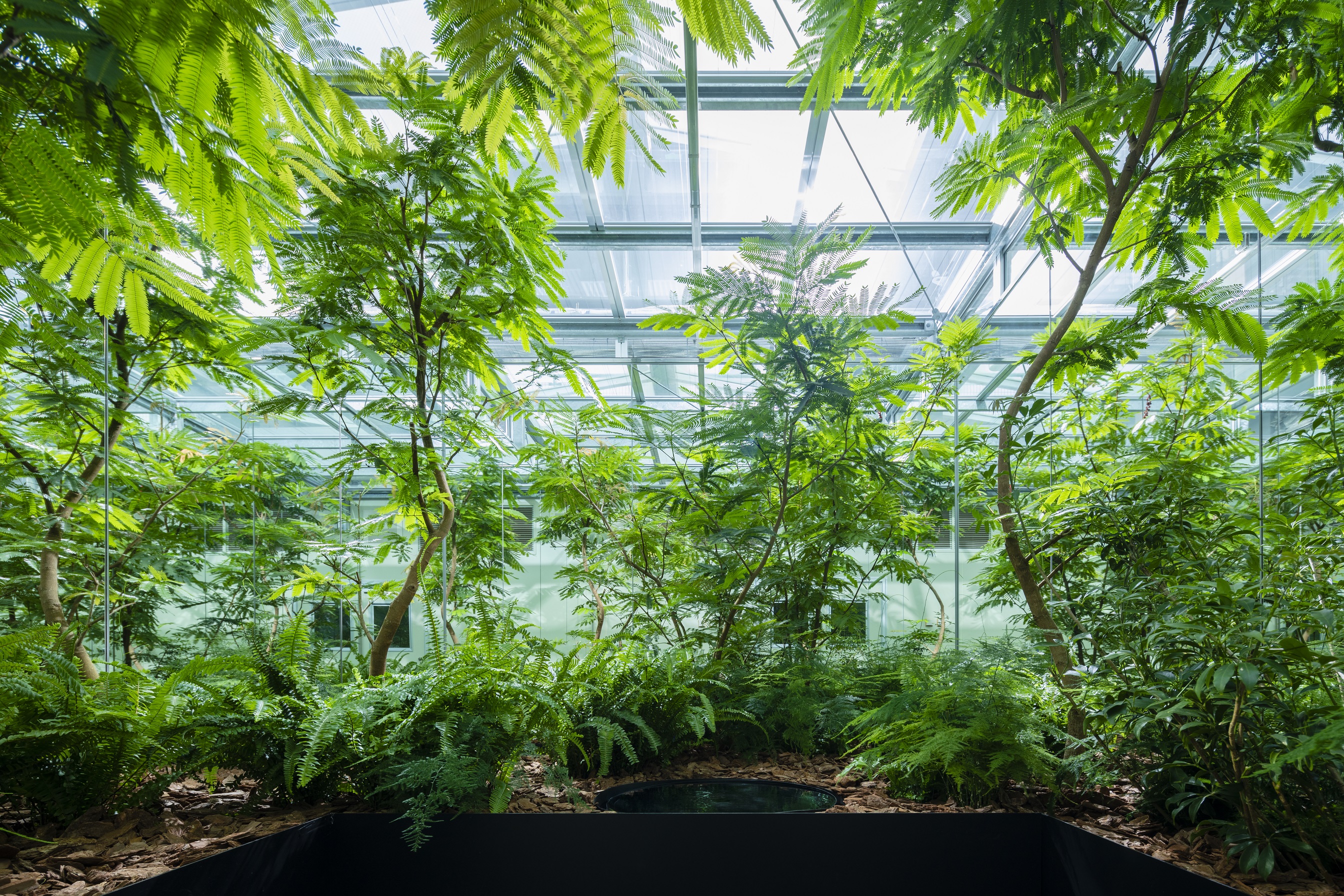 空間デザインブランド Parkers パーカーズ 植物 と共生する空間が人間にもたらす効果 の共同研究に協力 株式会社パーク コーポレーションのプレスリリース