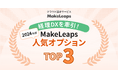 経理DXを加速させたのはこの機能!「MakeLeaps」2024年度 人気オプションランキング発表