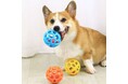 犬おもちゃ専門通販サイト「イヌハッピー(nuhappy)」がサービスを正式リリースしました!