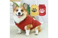 犬服専門通販サイト「ペリードッグ(perrydog)」がサービスを正式リリースしました!