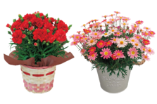 こどもの日 母の日 ギフトカタログ販売中 株式会社郵便局物販サービスのプレスリリース