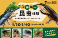 今年もやります!生き物たちの隠れ家ショップAPERO HYLE BIOS(アペロヒューレ・ビオス)のふれあい昆虫イベント!!
