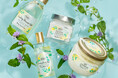 ジェイアール名古屋タカシマヤ 「Minty Spark Yuzu Collection 先行発売POP UP SHOP」を開催