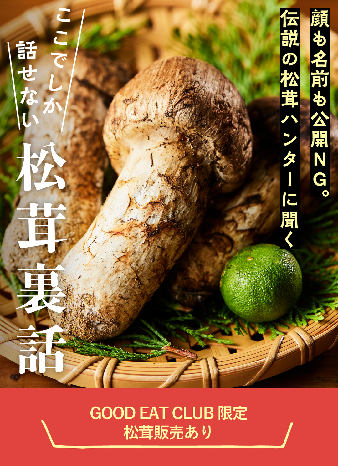 日本最高峰の南信州産の松茸を、生産地との直接契約で実現した低価格と