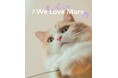 電子書籍限定で本日発売!『#We Love Mars版』THE RAMPAGE 藤原 樹の愛猫マースの未公開カットが満載