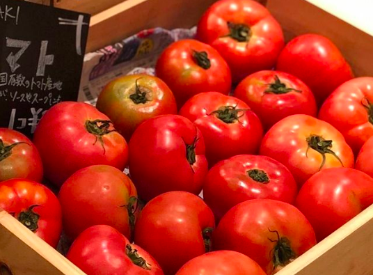 【地球の問題と 生産者の悩みを　消費者へとつなげる】規格外野菜や有機野菜など地域の野菜を救出する野菜市を開催