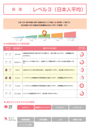 肌老化予防プログラム（報告書サンプル1）