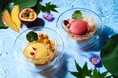 涼やかな口どけと多彩な食感を楽しむ！ライフスタイルホテル「THE LIVELY 大阪本町」にて、フレンチシェフが手掛ける、水信玄餅×グラニテの和洋ハイブリッドスイーツが6/1より登場