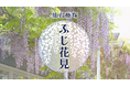 アクアイグニス仙台で「仙台藤塚 ふじ花見」イベントを初開催!