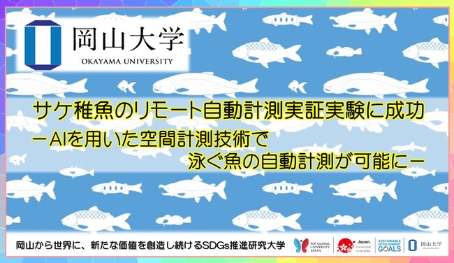 岡山大学】サケ稚魚のリモート自動計測実証実験に成功-AIを用いた空間