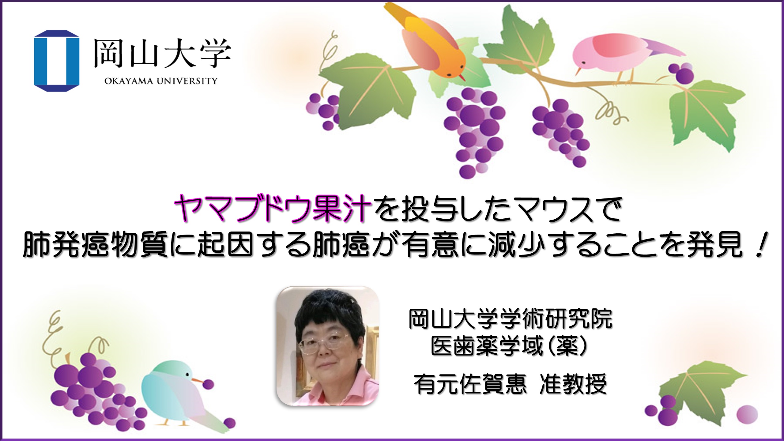 岡山大学 ヤマブドウ果汁を投与したマウスで肺発癌物質に起因する肺癌が有意に減少することを発見 国立大学法人岡山大学のプレスリリース