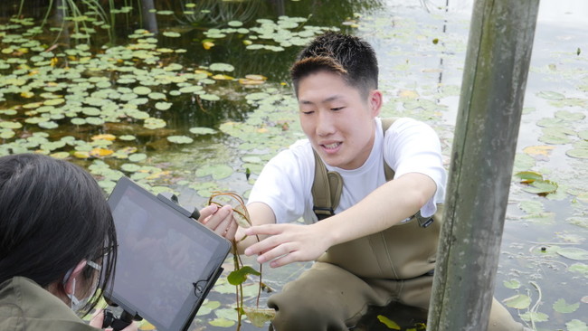 ビオトープ池の様子を伝える岡山大学の学生