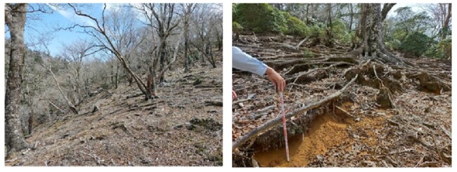 下層植生の消失した三方岳の概況（左）と深刻な根系露出の例（右）